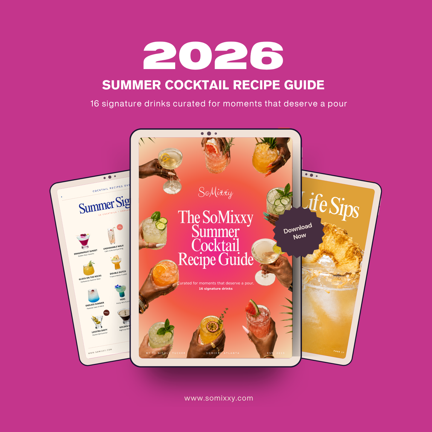 2026 SoMixxy Summer Cocktail Recipe Guide (Digital)